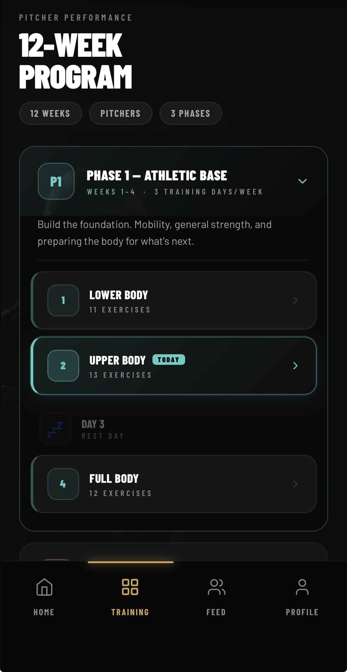 Pupilo program screen — 12-week periodized training phases